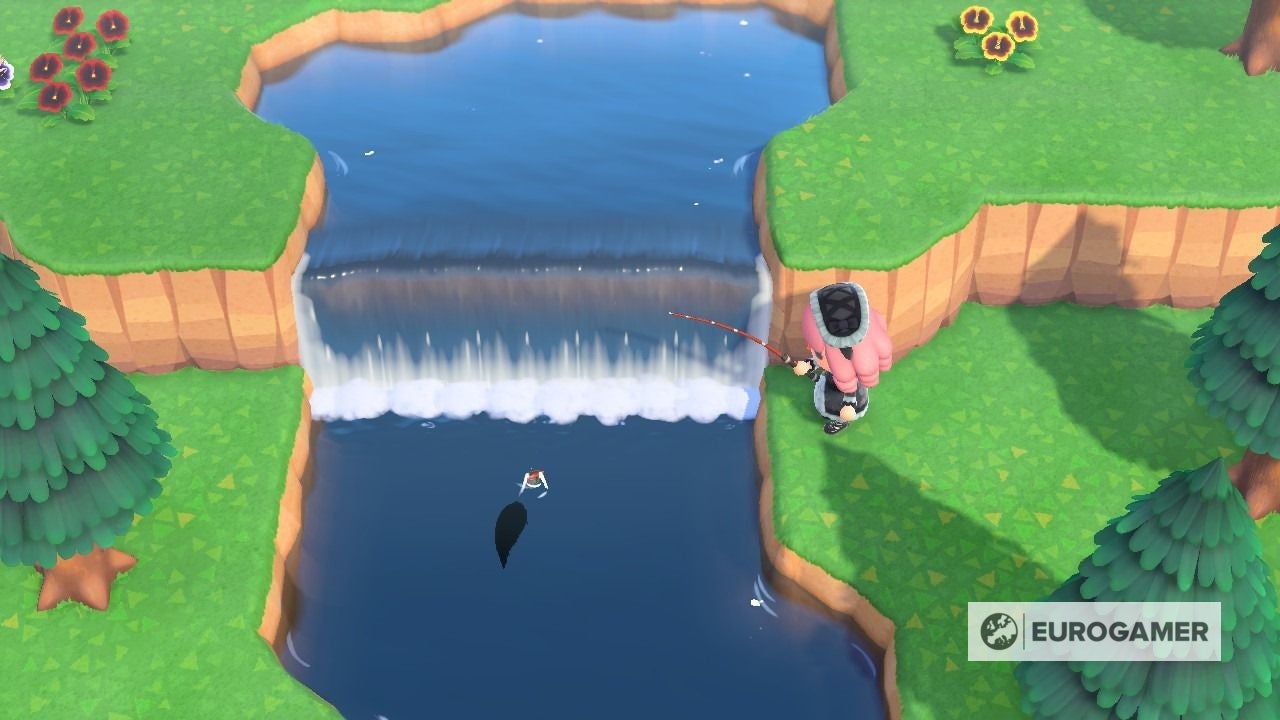 Animal Crossing Golden Trout How to catch golden trout and find the